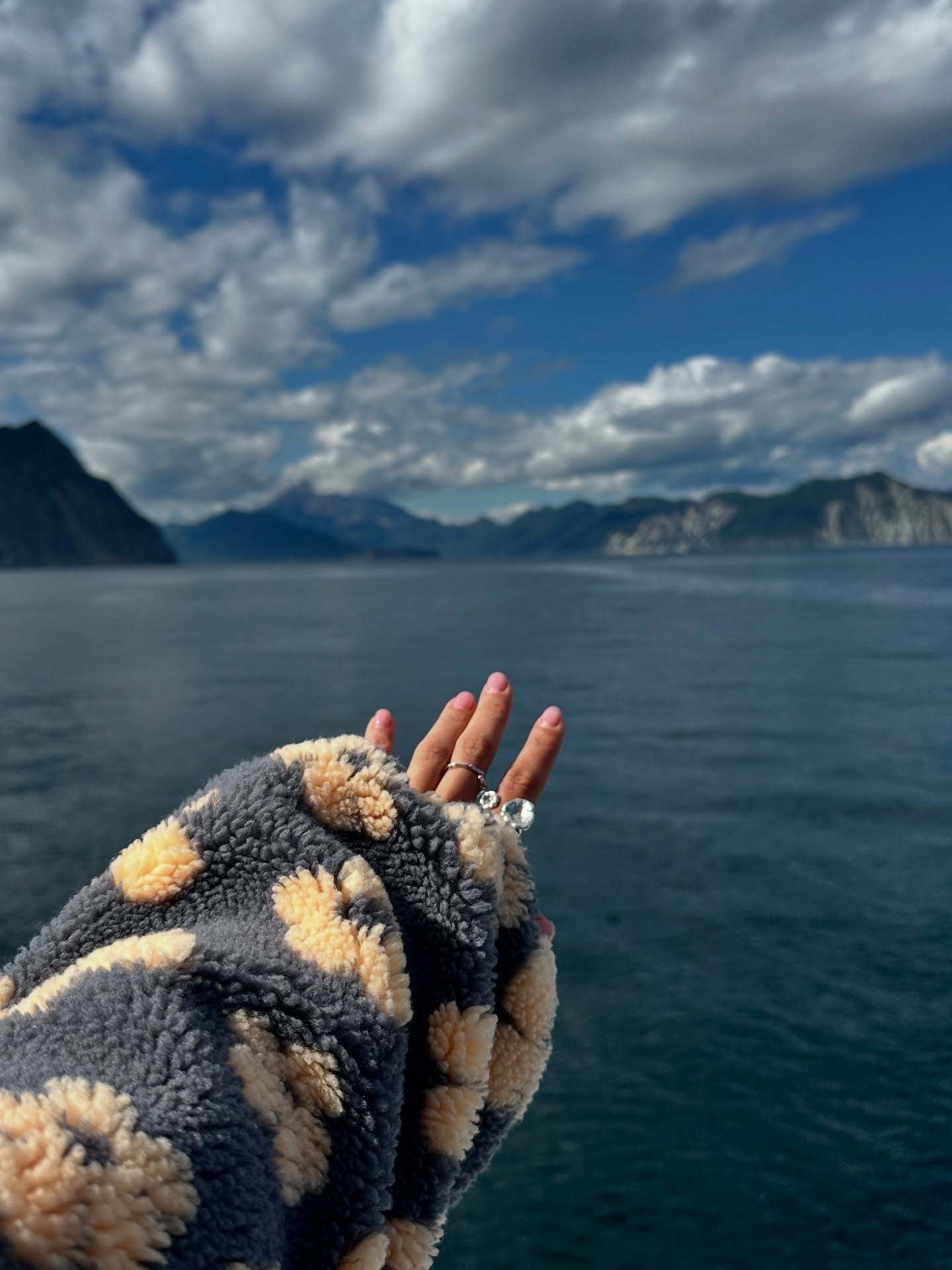 Isla™ - Floral Fleece Pullover